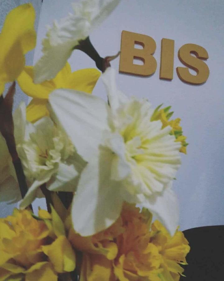 Prenociste Bis Hotel Prijepolje Ngoại thất bức ảnh